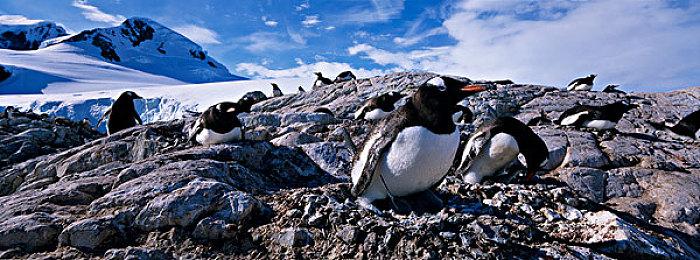 恐怖FPS《斯盖尔仪式》10月13日发售 死寂亡灵归来